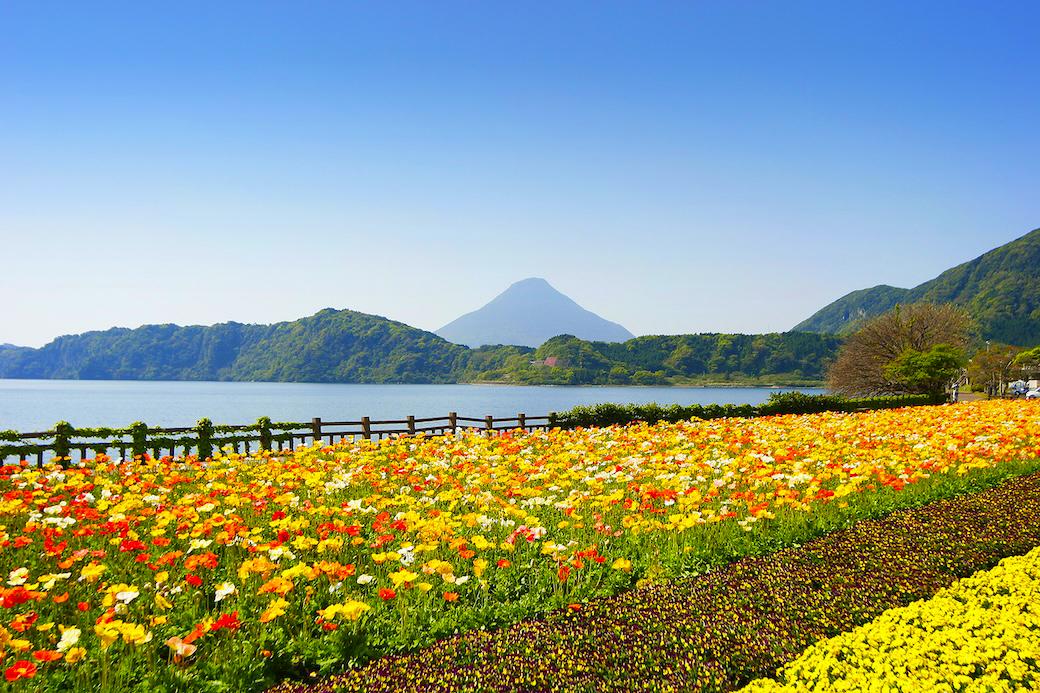 湖畔園地